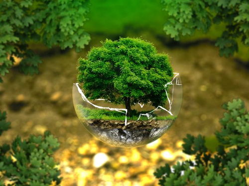 2025成都環(huán)保咨詢實力榜Top5與全面方案推薦